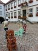 hildesheim2014 (01)