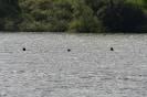 edersee2012(27)