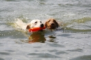 edersee2012(34)