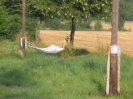 sommerlager2006 (07)