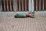 IMG_3546